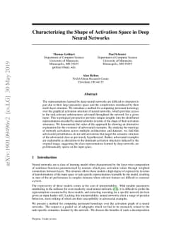 Characterizing the Shape of Activation Space in Deep Neural Networks