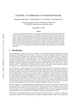 CoCoNet: A Collaborative Convolutional Network