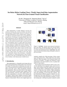 See Better Before Looking Closer: Weakly Supervised Data Augmentation
  Network for Fine-Grained Visual Classification