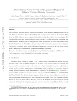 A Convolutional Neural Network for the Automatic Diagnosis of Collagen
  VI related Muscular Dystrophies