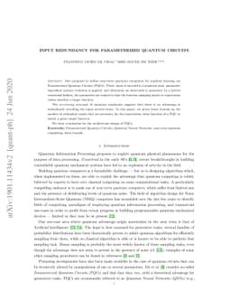 Input Redundancy for Parameterized Quantum Circuits