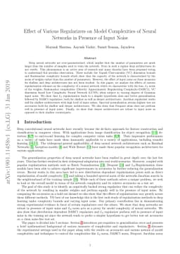 Effect of Various Regularizers on Model Complexities of Neural Networks
  in Presence of Input Noise