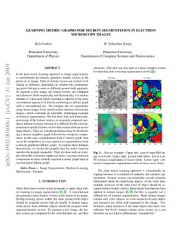 Learning Metric Graphs for Neuron Segmentation In Electron Microscopy
  Images