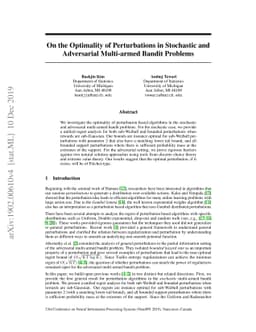 On the Optimality of Perturbations in Stochastic and Adversarial
  Multi-armed Bandit Problems
