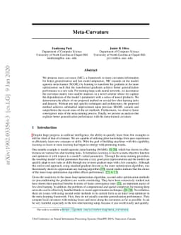 Meta-Curvature