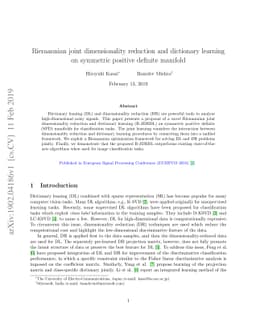 Riemannian joint dimensionality reduction and dictionary learning on
  symmetric positive definite manifold