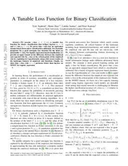 A Tunable Loss Function for Binary Classification