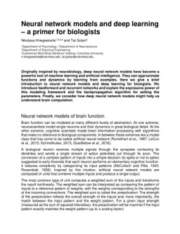 Neural network models and deep learning - a primer for biologists