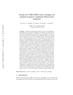 Group level MEG/EEG source imaging via optimal transport: minimum
  Wasserstein estimates