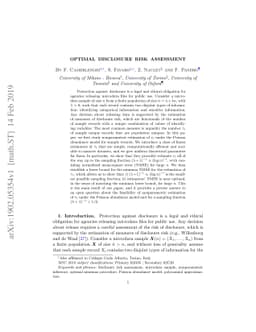 Optimal disclosure risk assessment