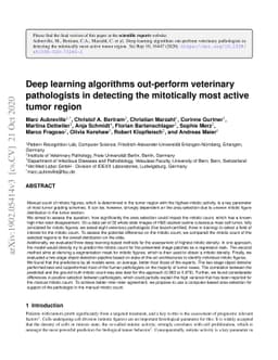 Deep learning algorithms out-perform veterinary pathologists in
  detecting the mitotically most active tumor region