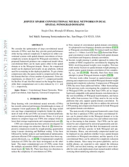 Jointly Sparse Convolutional Neural Networks in Dual Spatial-Winograd
  Domains