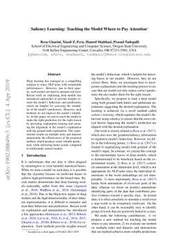 Saliency Learning: Teaching the Model Where to Pay Attention