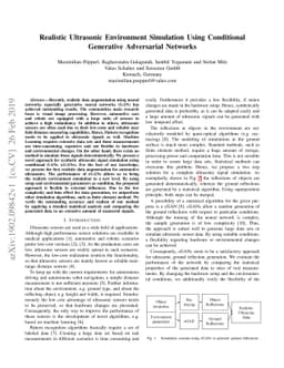 Realistic Ultrasonic Environment Simulation Using Conditional Generative
  Adversarial Networks
