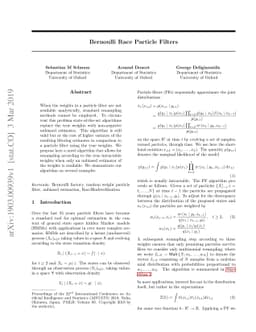 Bernoulli Race Particle Filters