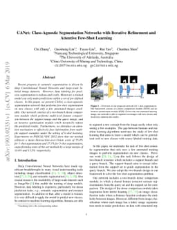 CANet: Class-Agnostic Segmentation Networks with Iterative Refinement
  and Attentive Few-Shot Learning