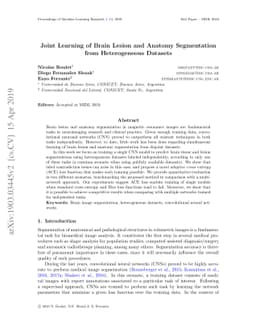 Joint Learning of Brain Lesion and Anatomy Segmentation from
  Heterogeneous Datasets
