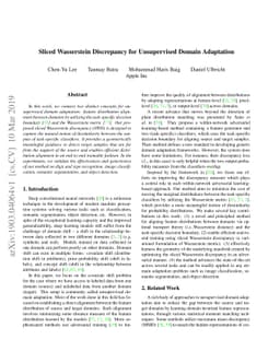 Sliced Wasserstein Discrepancy for Unsupervised Domain Adaptation
