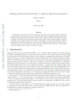 Scaling up deep neural networks: a capacity allocation perspective