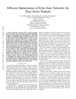 Efficient Optimization of Echo State Networks for Time Series Datasets