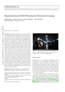 Hypothesis-based Belief Planning for Dexterous Grasping