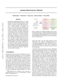 Attention-Based Structural-Plasticity