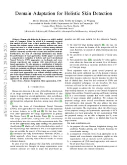 Domain adaptation for holistic skin detection