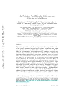 An Optimized PatchMatch for Multi-scale and Multi-feature Label Fusion
