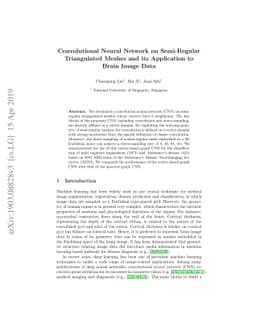 Convolutional Neural Network on Semi-Regular Triangulated Meshes and its
  Application to Brain Image Data