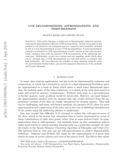 CUR Decompositions, Approximations, and Perturbations