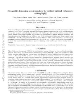 Semantic denoising autoencoders for retinal optical coherence tomography