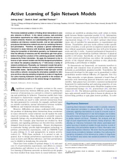 Active Learning of Spin Network Models