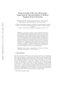 Deep Learning Under the Microscope: Improving the Interpretability of
  Medical Imaging Neural Networks