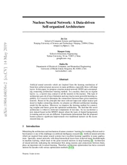 Nucleus Neural Network: A Data-driven Self-organized Architecture