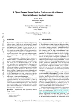 Client/Server Based Online Environment for Manual Segmentation of
  Medical Images