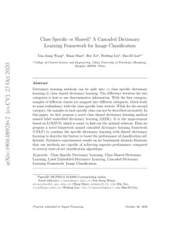Class specific or shared? A cascaded dictionary learning framework for
  image classification