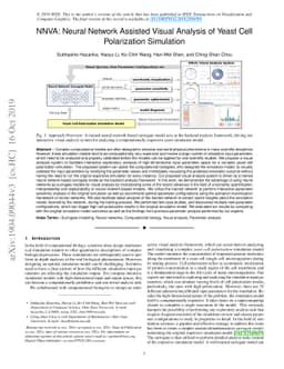 NNVA: Neural Network Assisted Visual Analysis of Yeast Cell Polarization
  Simulation
