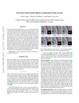 Efficient Blind Deblurring under High Noise Levels
