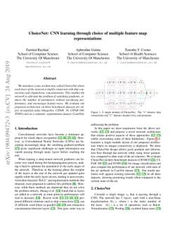 ChoiceNet: CNN learning through choice of multiple feature map
  representations