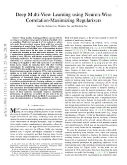 Deep Multi-View Learning using Neuron-Wise Correlation-Maximizing
  Regularizers