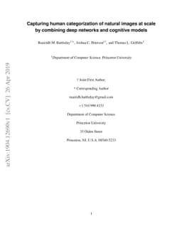 Capturing human categorization of natural images at scale by combining
  deep networks and cognitive models