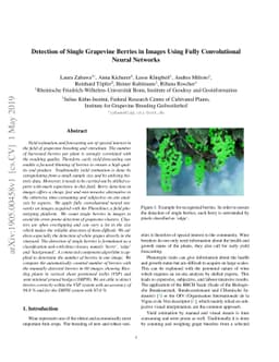Detection of Single Grapevine Berries in Images Using Fully
  Convolutional Neural Networks