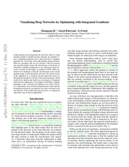 Visualizing Deep Networks by Optimizing with Integrated Gradients