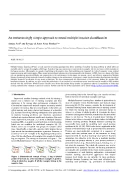 An embarrassingly simple approach to neural multiple instance
  classification