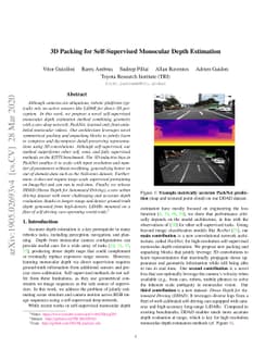 3D Packing for Self-Supervised Monocular Depth Estimation