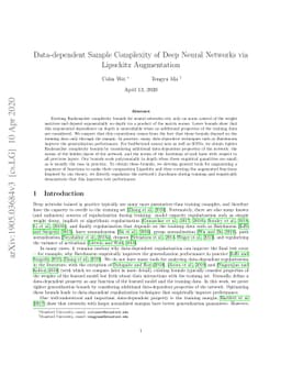 Data-dependent Sample Complexity of Deep Neural Networks via Lipschitz
  Augmentation