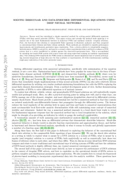 Solving Irregular and Data-enriched Differential Equations using Deep
  Neural Networks