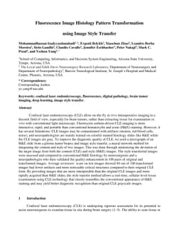 Fluorescence Image Histology Pattern Transformation using Image Style
  Transfer