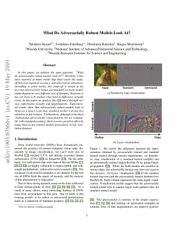 What Do Adversarially Robust Models Look At?
