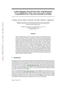 Label Mapping Neural Networks with Response Consolidation for Class
  Incremental Learning